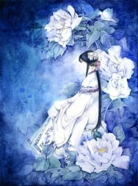 财女驾到