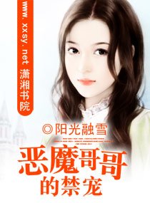 恶魔哥哥的禁宠(恶魔三部曲系列之一)